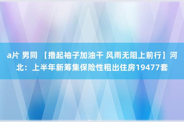 a片 男同 【撸起袖子加油干 风雨无阻上前行】河北：上半年新筹集保险性租出住房19477套