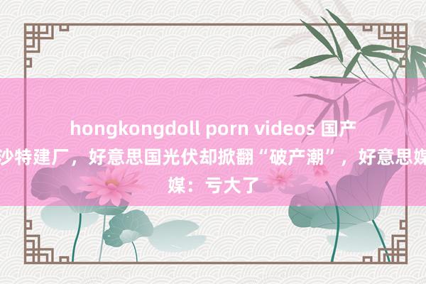 hongkongdoll porn videos 国产光伏巨头沙特建厂，好意思国光伏却掀翻“破产潮”，好意思媒：亏大了