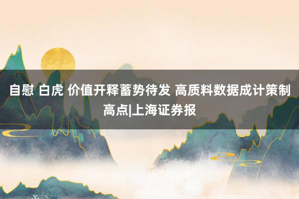 自慰 白虎 价值开释蓄势待发 高质料数据成计策制高点|上海证券报