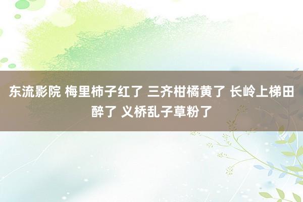 东流影院 梅里柿子红了 三齐柑橘黄了 长岭上梯田醉了 义桥乱子草粉了