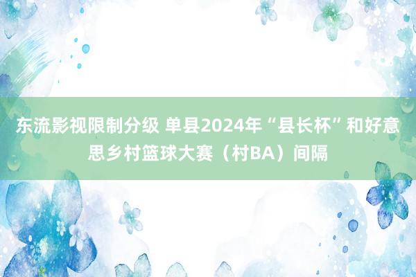 东流影视限制分级 单县2024年“县长杯”和好意思乡村篮球大赛（村BA）间隔