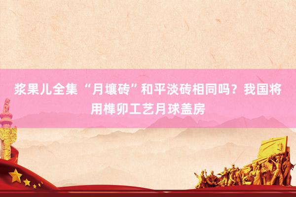 浆果儿全集 “月壤砖”和平淡砖相同吗？我国将用榫卯工艺月球盖房