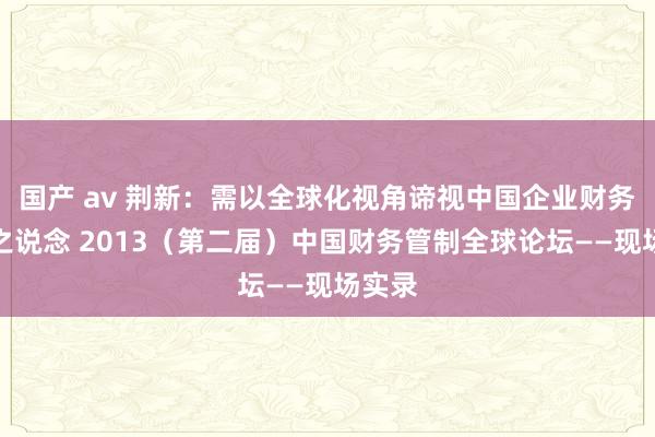 国产 av 荆新：需以全球化视角谛视中国企业财务管制之说念 2013（第二届）中国财务管制全球论坛——现场实录