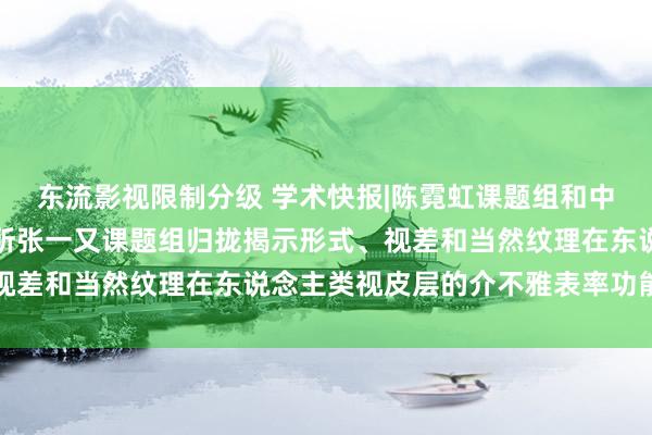 东流影视限制分级 学术快报|陈霓虹课题组和中国科学院生物物理讨论所张一又课题组归拢揭示形式、视差和当然纹理在东说念主类视皮层的介不雅表率功能结构