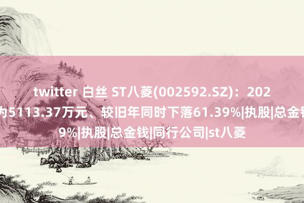 twitter 白丝 ST八菱(002592.SZ)：2024年三季报净利润为5113.37万元、较旧年同时下落61.39%|执股|总金钱|同行公司|st八菱