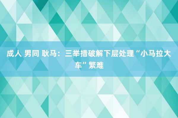 成人 男同 耿马：三举措破解下层处理“小马拉大车”繁难