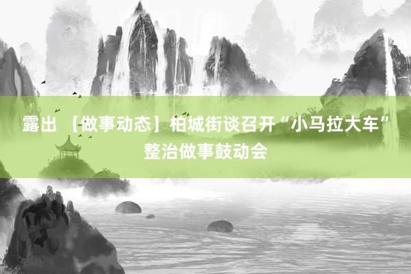 露出 【做事动态】柏城街谈召开“小马拉大车”整治做事鼓动会