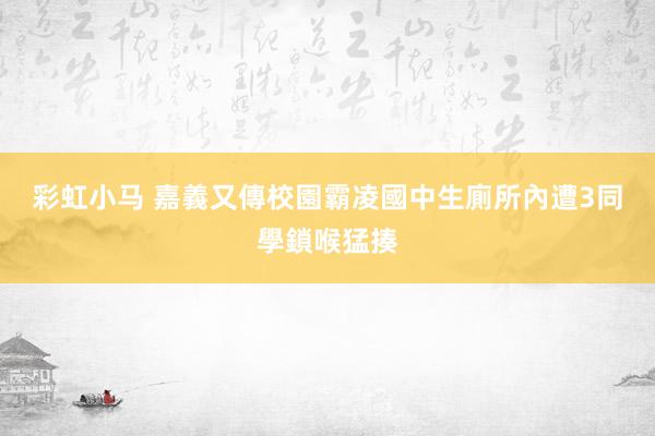 彩虹小马 嘉義又傳校園霸凌　國中生廁所內遭3同學鎖喉猛揍