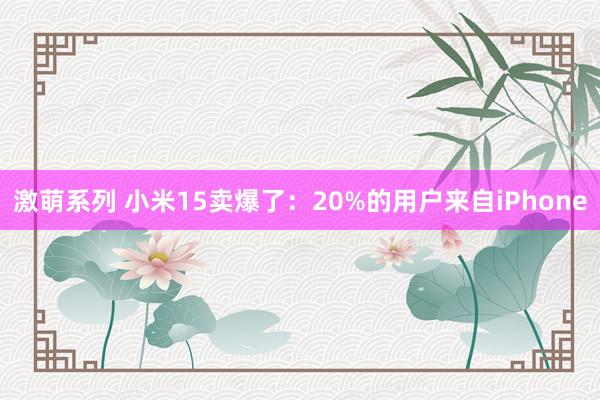 激萌系列 小米15卖爆了：20%的用户来自iPhone