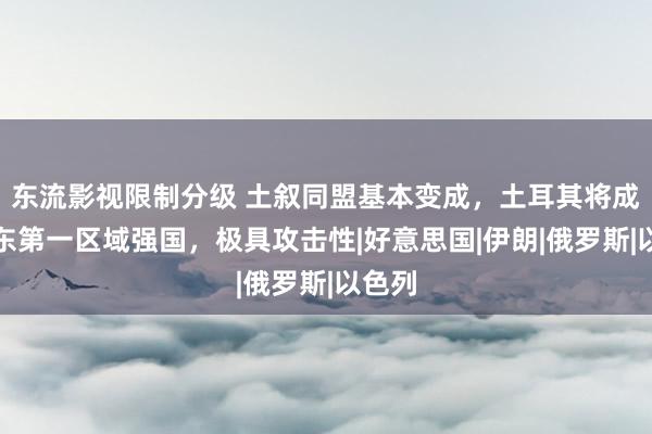 东流影视限制分级 土叙同盟基本变成，土耳其将成为中东第一区域强国，极具攻击性|好意思国|伊朗|俄罗斯|以色列